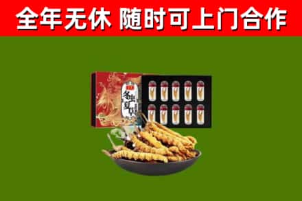淅川县回收冬虫夏草价格